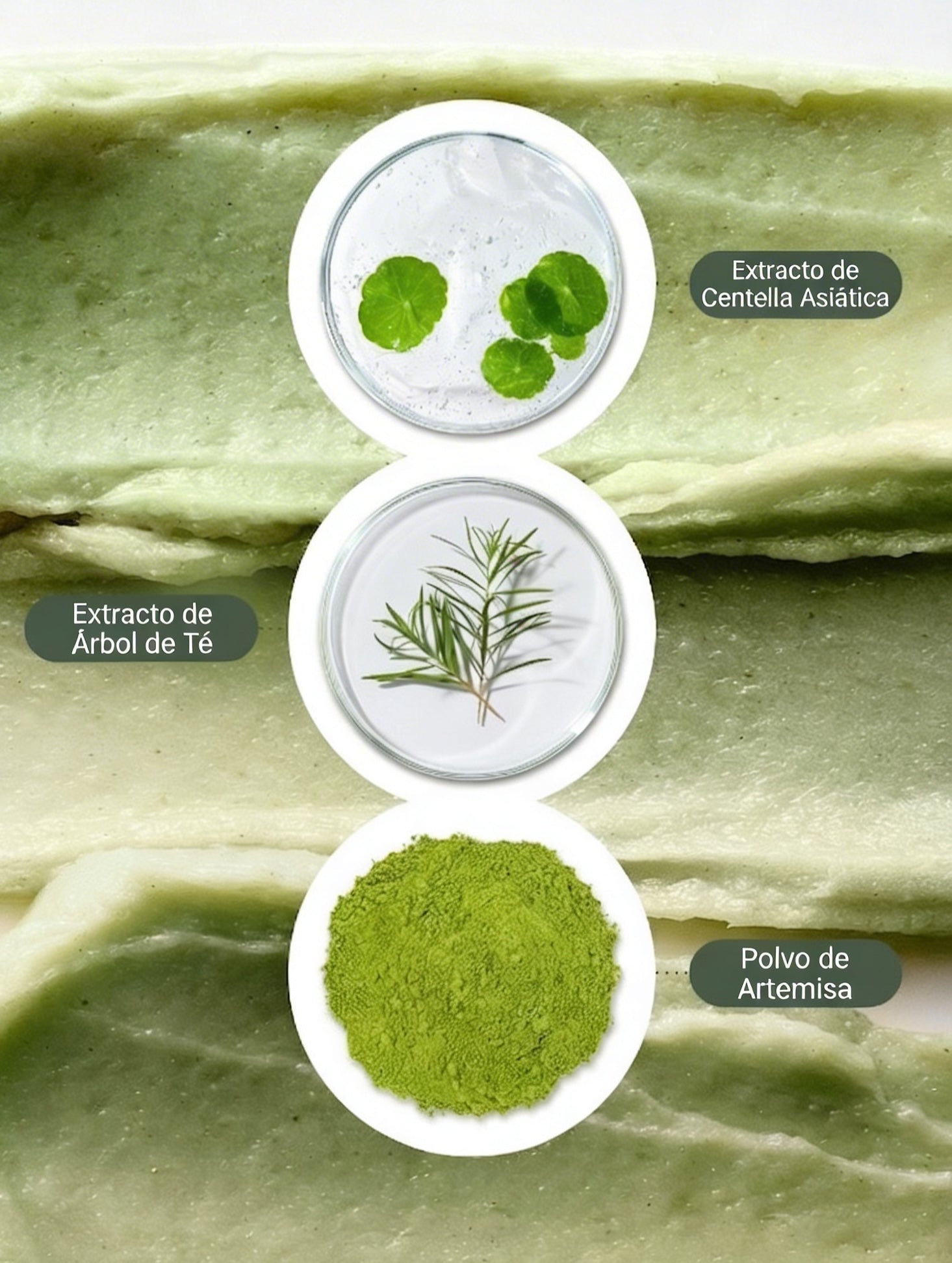 Limpiador Arencia Rice Mochi textura elástica con arroz